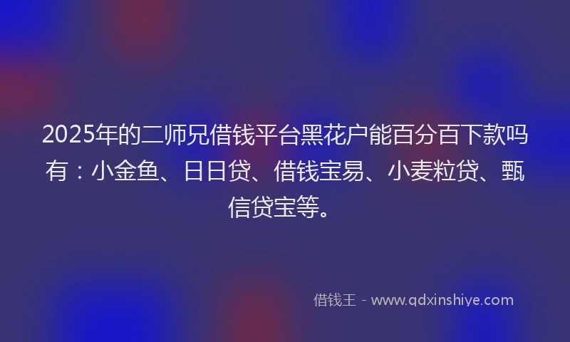 2025年的二师兄借钱平台黑花户能百分百下款吗有：小金鱼、日日贷、借钱宝易、小麦粒贷、甄信贷宝等。