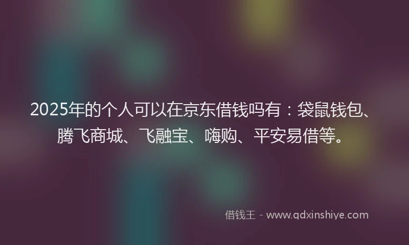 2025年的个人可以在京东借钱吗有：袋鼠钱包、腾飞商城、飞融宝、嗨购、平安易借等。