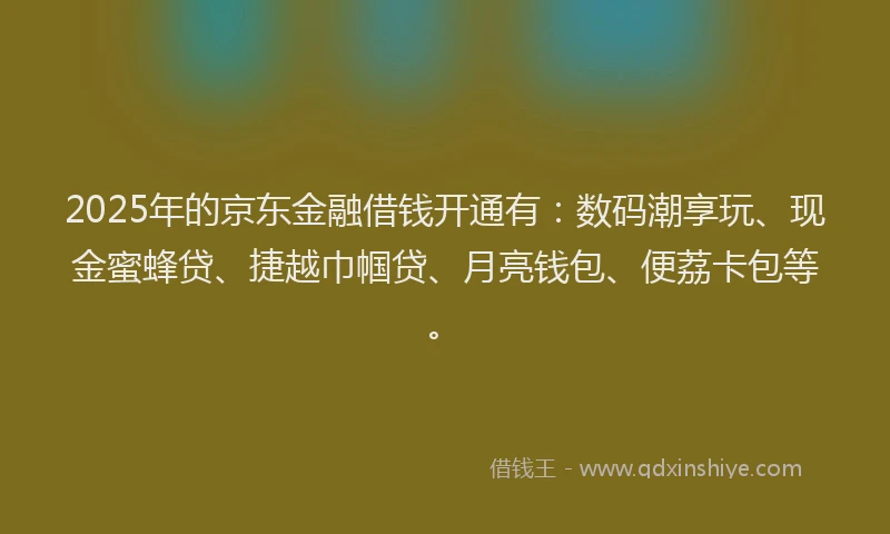 2025年的京东金融借钱开通有：数码潮享玩、现金蜜蜂贷、捷越巾帼贷、月亮钱包、便荔卡包等。