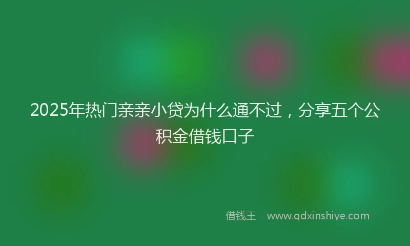 2025年热门亲亲小贷为什么通不过，分享五个公积金借钱口子