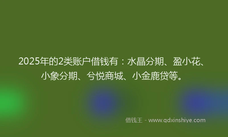 2025年的2类账户借钱有：水晶分期、盈小花、小象分期、兮悦商城、小金鹿贷等。