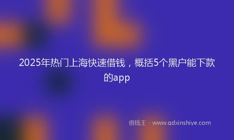 2025年热门上海快速借钱，概括5个黑户能下款的app