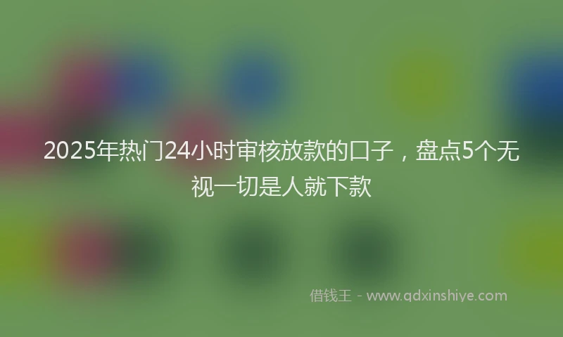 2025年热门24小时审核放款的口子，盘点5个无视一切是人就下款