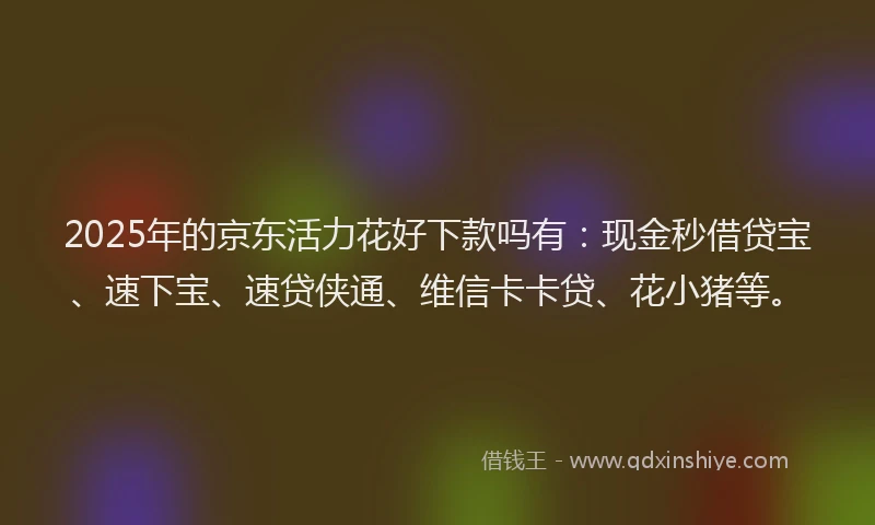2025年的京东活力花好下款吗有：现金秒借贷宝、速下宝、速贷侠通、维信卡卡贷、花小猪等。