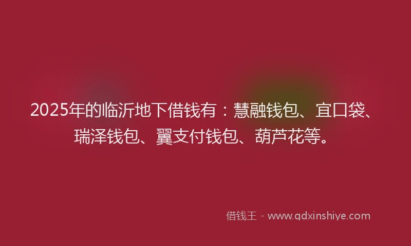 2025年的临沂地下借钱有：慧融钱包、宜口袋、瑞泽钱包、翼支付钱包、葫芦花等。