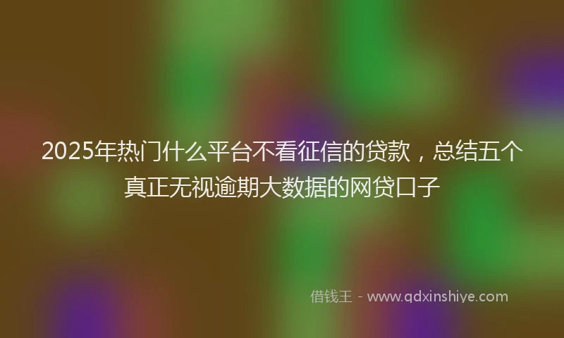 2025年热门什么平台不看征信的贷款，总结五个真正无视逾期大数据的网贷口子