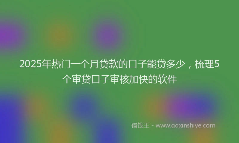 2025年热门一个月贷款的口子能贷多少，梳理5个审贷口子审核加快的软件