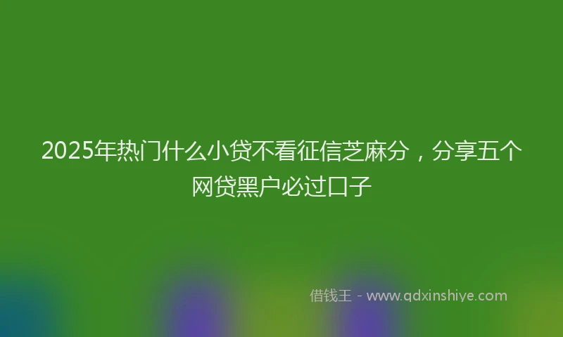 2025年热门什么小贷不看征信芝麻分，分享五个网贷黑户必过口子