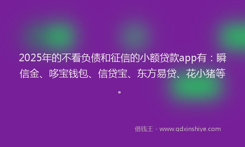 2025年的不看负债和征信的小额贷款app有：瞬信金、哆宝钱包、信贷宝、东方易贷、花小猪等。