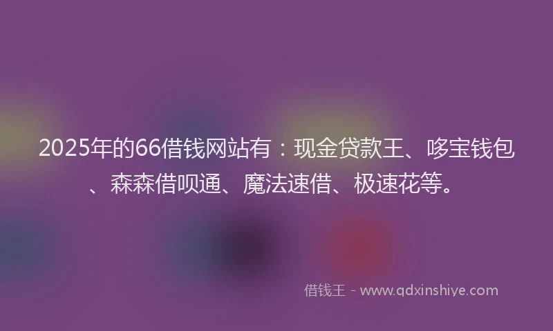 2025年的66借钱网站有：现金贷款王、哆宝钱包、森森借呗通、魔法速借、极速花等。