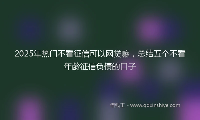 2025年热门不看征信可以网贷嘛，总结五个不看年龄征信负债的口子