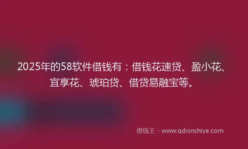 2025年的58软件借钱有：借钱花速贷、盈小花、宜享花、琥珀贷、借贷易融宝等。