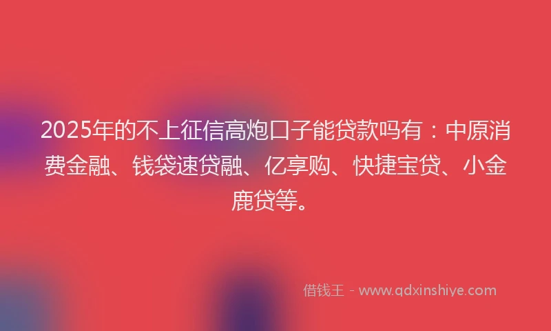 2025年的不上征信高炮口子能贷款吗有：中原消费金融、钱袋速贷融、亿享购、快捷宝贷、小金鹿贷等。