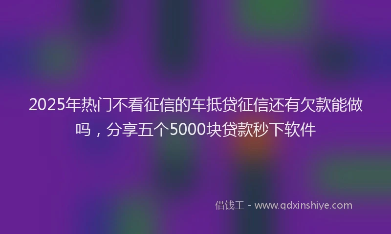 2025年热门不看征信的车抵贷征信还有欠款能做吗，分享五个5000块贷款秒下软件