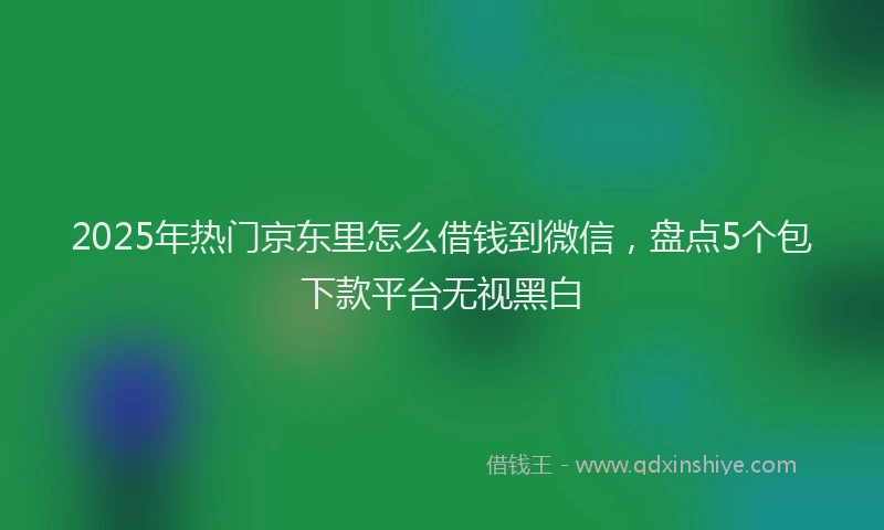 2025年热门京东里怎么借钱到微信，盘点5个包下款平台无视黑白