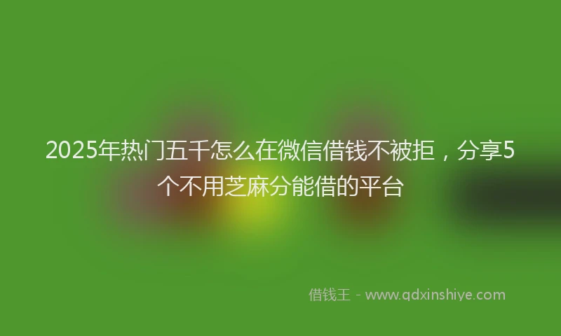 2025年热门五千怎么在微信借钱不被拒，分享5个不用芝麻分能借的平台