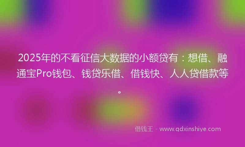 2025年的不看征信大数据的小额贷有：想借、融通宝Pro钱包、钱贷乐借、借钱快、人人贷借款等。