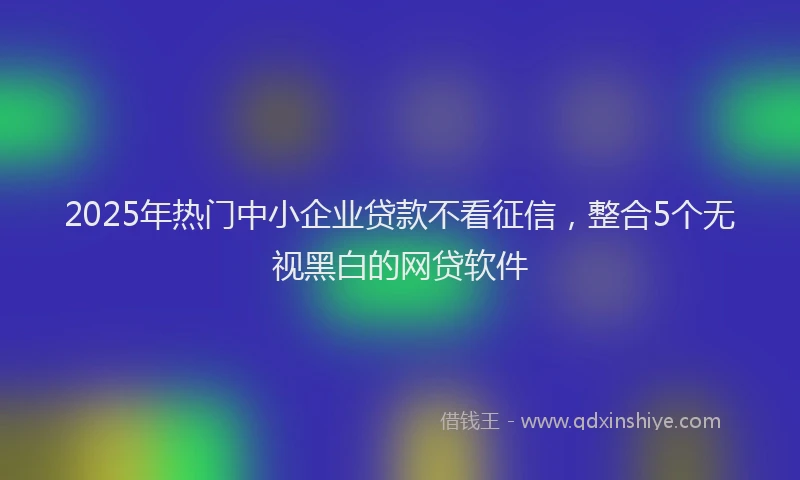 2025年热门中小企业贷款不看征信，整合5个无视黑白的网贷软件