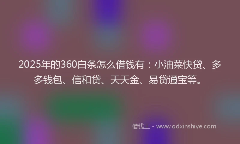 2025年的360白条怎么借钱有：小油菜快贷、多多钱包、信和贷、天天金、易贷通宝等。