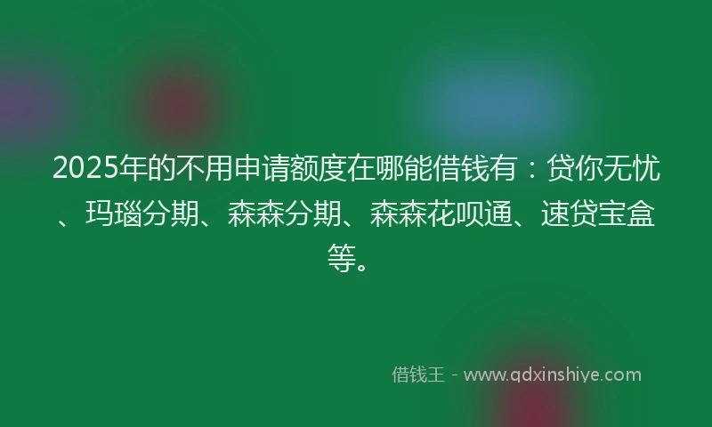 2025年的不用申请额度在哪能借钱有：贷你无忧、玛瑙分期、森森分期、森森花呗通、速贷宝盒等。