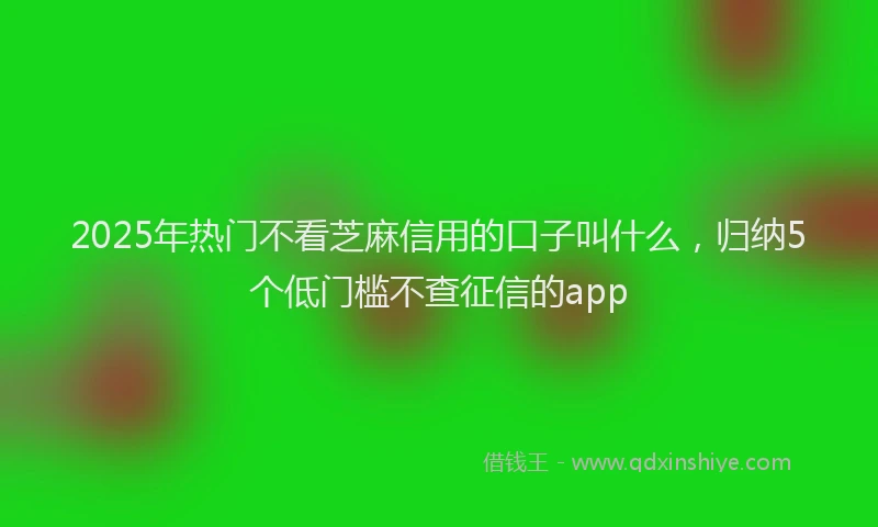 2025年热门不看芝麻信用的口子叫什么，归纳5个低门槛不查征信的app