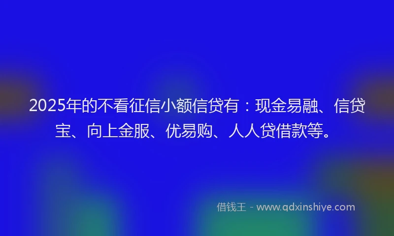 2025年的不看征信小额信贷有：现金易融、信贷宝、向上金服、优易购、人人贷借款等。