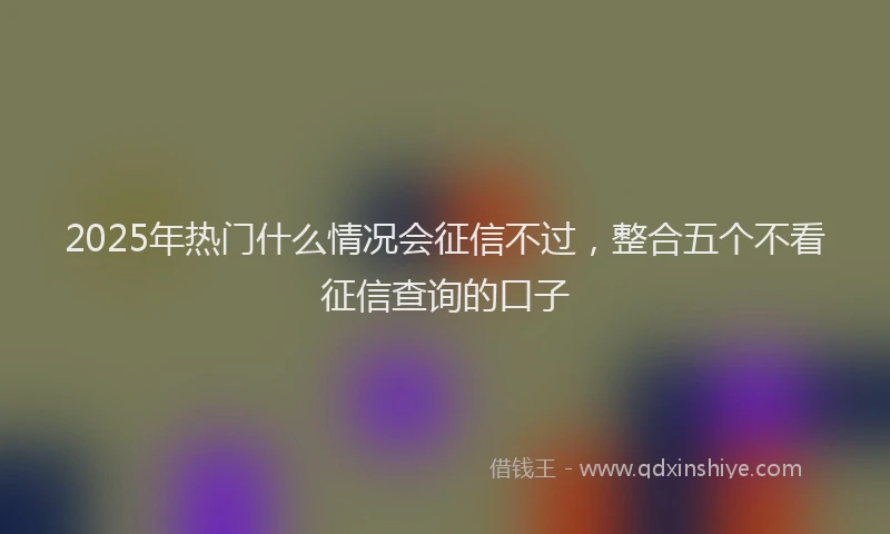 2025年热门什么情况会征信不过，整合五个不看征信查询的口子