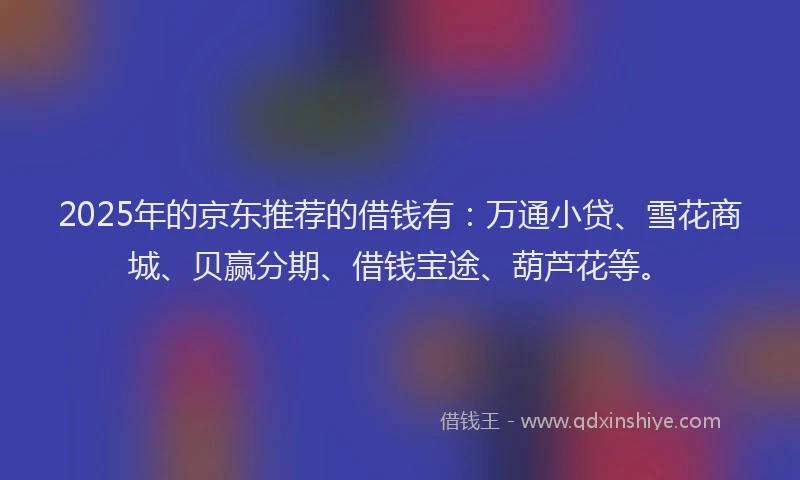 2025年的京东推荐的借钱有：万通小贷、雪花商城、贝赢分期、借钱宝途、葫芦花等。