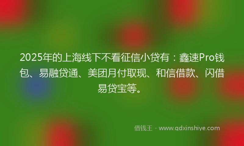 2025年的上海线下不看征信小贷有：鑫速Pro钱包、易融贷通、美团月付取现、和信借款、闪借易贷宝等。