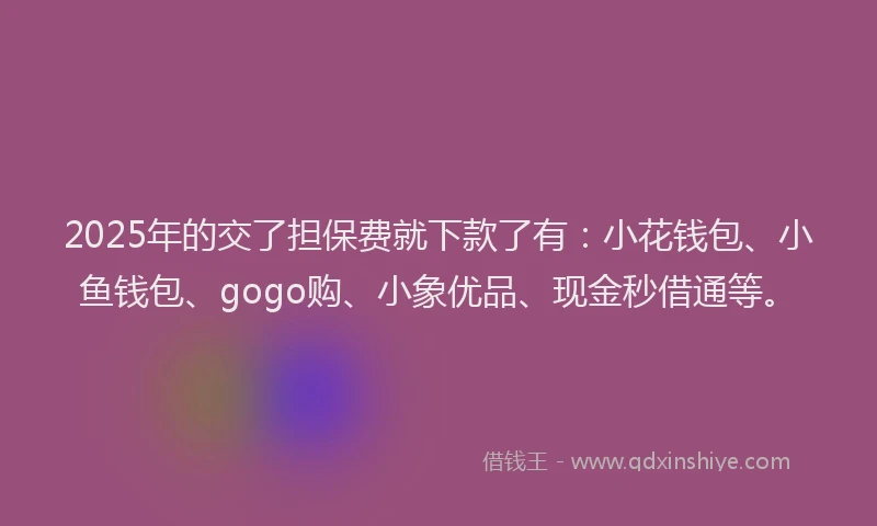 2025年的交了担保费就下款了有：小花钱包、小鱼钱包、gogo购、小象优品、现金秒借通等。