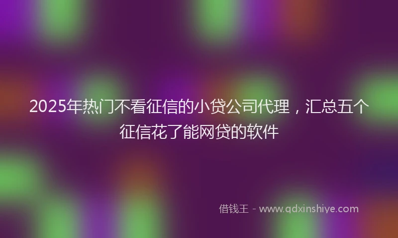 2025年热门不看征信的小贷公司代理，汇总五个征信花了能网贷的软件