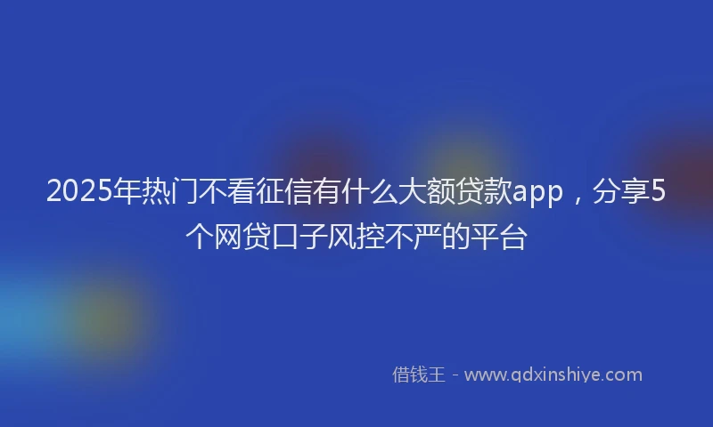 2025年热门不看征信有什么大额贷款app，分享5个网贷口子风控不严的平台