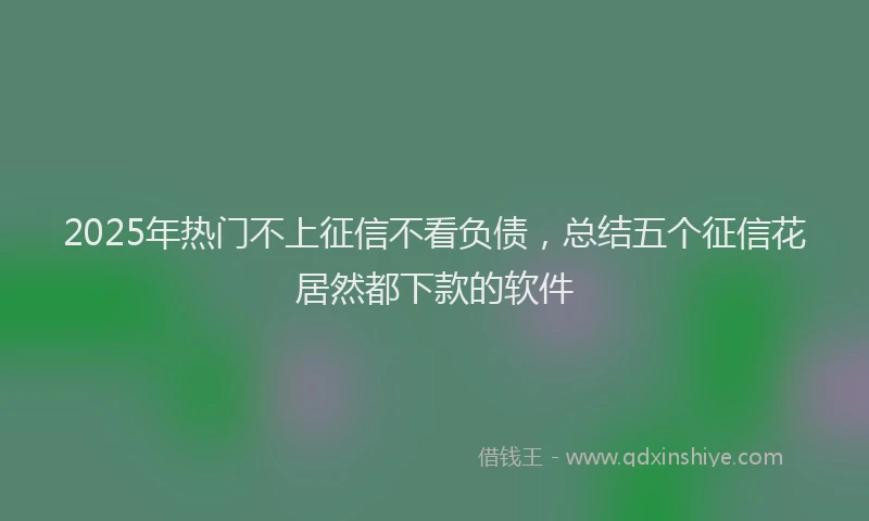 2025年热门不上征信不看负债，总结五个征信花居然都下款的软件