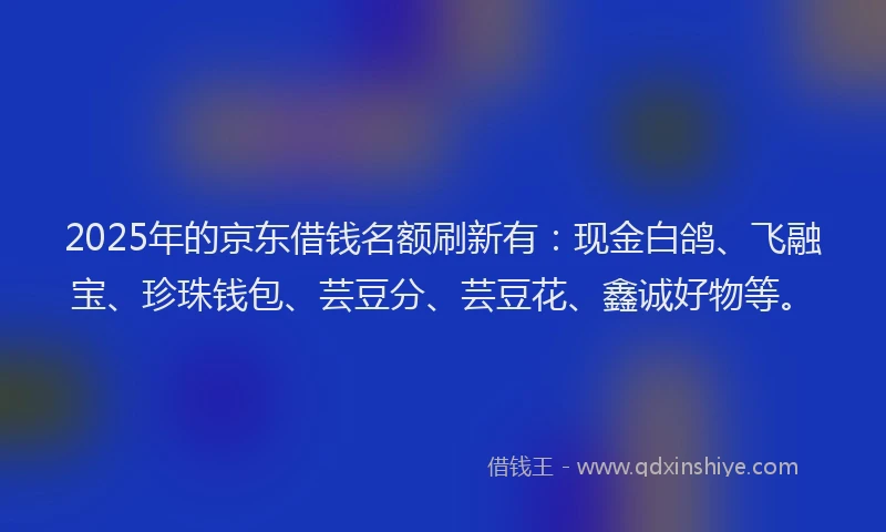 2025年的京东借钱名额刷新有：现金白鸽、飞融宝、珍珠钱包、芸豆分、芸豆花、鑫诚好物等。
