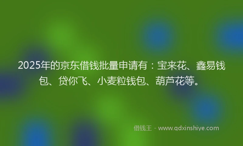 2025年的京东借钱批量申请有：宝来花、鑫易钱包、贷你飞、小麦粒钱包、葫芦花等。