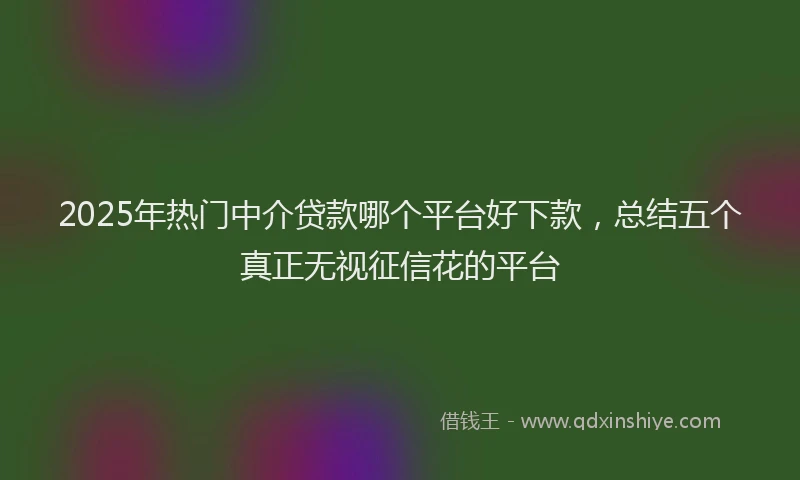 2025年热门中介贷款哪个平台好下款，总结五个真正无视征信花的平台