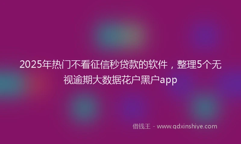 2025年热门不看征信秒贷款的软件，整理5个无视逾期大数据花户黑户app