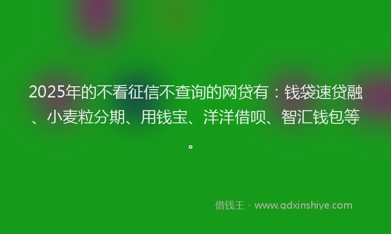 2025年的不看征信不查询的网贷有：钱袋速贷融、小麦粒分期、用钱宝、洋洋借呗、智汇钱包等。