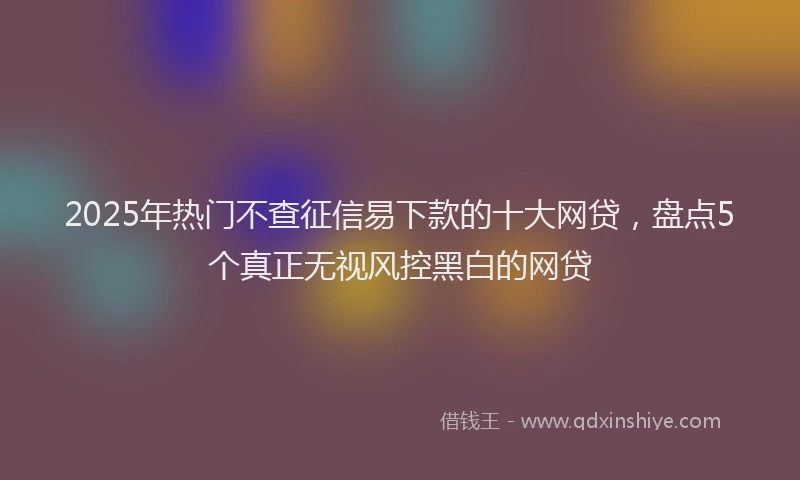 2025年热门不查征信易下款的十大网贷，盘点5个真正无视风控黑白的网贷