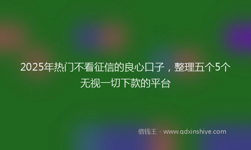 2025年热门不看征信的良心口子，整理五个5个无视一切下款的平台