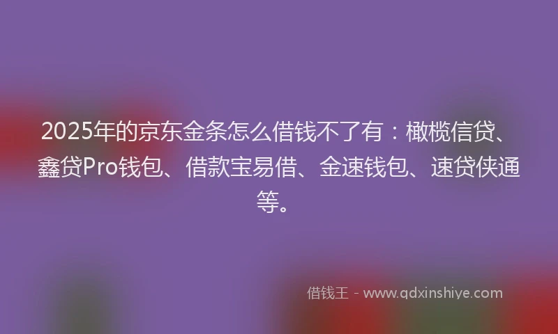 2025年的京东金条怎么借钱不了有：橄榄信贷、鑫贷Pro钱包、借款宝易借、金速钱包、速贷侠通等。