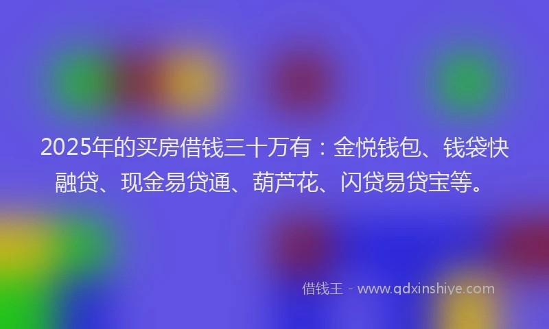 2025年的买房借钱三十万有：金悦钱包、钱袋快融贷、现金易贷通、葫芦花、闪贷易贷宝等。