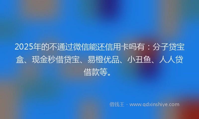 2025年的不通过微信能还信用卡吗有：分子贷宝盒、现金秒借贷宝、易橙优品、小丑鱼、人人贷借款等。