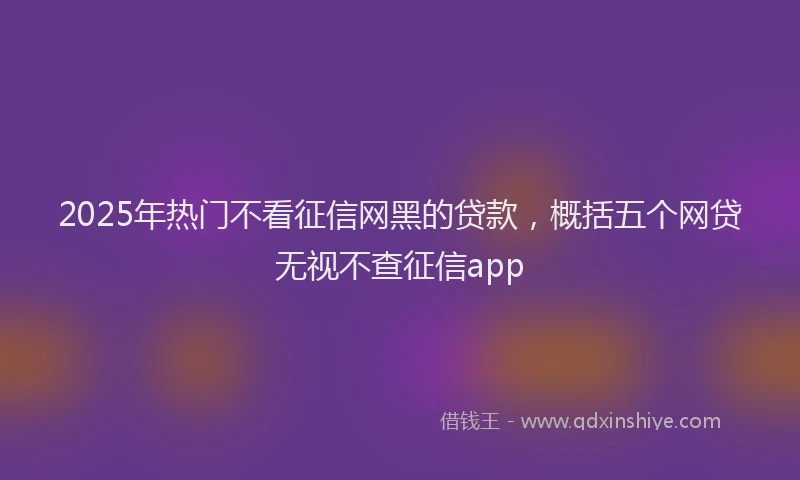 2025年热门不看征信网黑的贷款，概括五个网贷无视不查征信app
