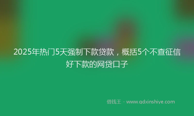 2025年热门5天强制下款贷款，概括5个不查征信好下款的网贷口子