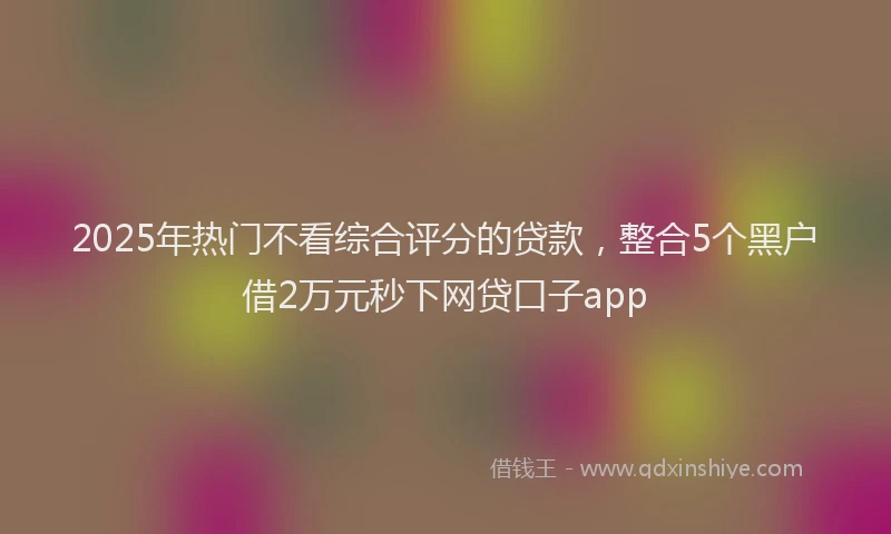 2025年热门不看综合评分的贷款，整合5个黑户借2万元秒下网贷口子app