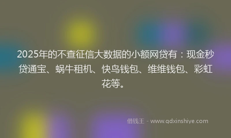 2025年的不查征信大数据的小额网贷有：现金秒贷通宝、蜗牛租机、快鸟钱包、维维钱包、彩虹花等。