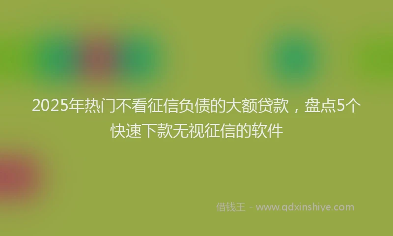 2025年热门不看征信负债的大额贷款，盘点5个快速下款无视征信的软件
