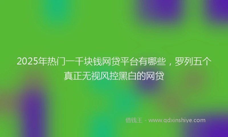 2025年热门一千块钱网贷平台有哪些，罗列五个真正无视风控黑白的网贷