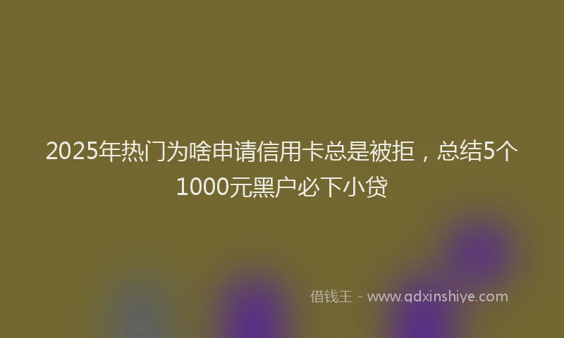 2025年热门为啥申请信用卡总是被拒，总结5个1000元黑户必下小贷